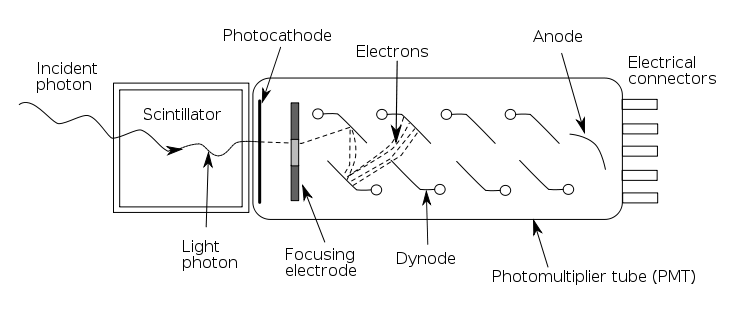 PMT.svg.png
