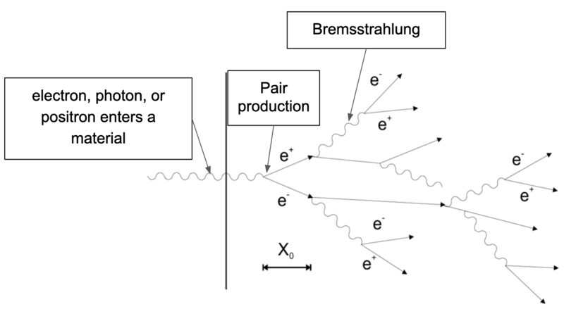 File:Electromagnetic Shower.png