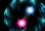 Glue pion.gif