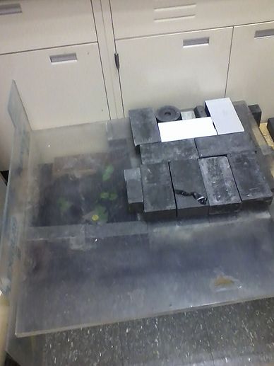 Shielding for the boxes of plants undergoing radioactive treatment. On the left is the box subjected to beta radiation and on the right is the box subjected to gamma radiation.