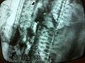 Thumbnail for version as of 14:43, 1 August 2013
