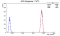 17.00Histo.png