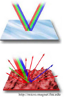 ReflecCharact.png
